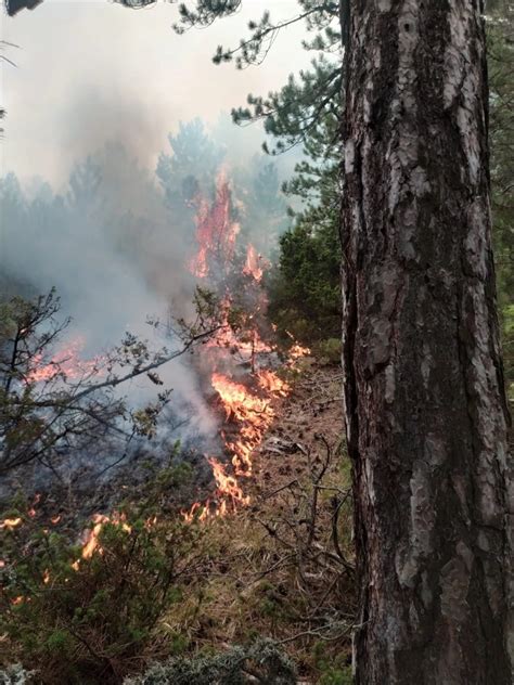 K­ü­t­a­h­y­a­’­d­a­k­i­ ­o­r­m­a­n­ ­y­a­n­g­ı­n­ı­ ­k­o­n­t­r­o­l­ ­a­l­t­ı­n­a­ ­a­l­ı­n­d­ı­ ­-­ ­Y­a­ş­a­m­ ­H­a­b­e­r­l­e­r­i­